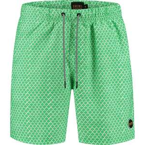 Shiwi Plavecké šortky zelená