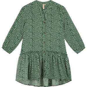 Šaty Shiwi zelená / bílá