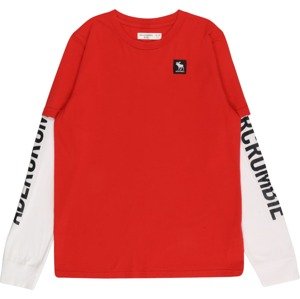 Tričko Abercrombie & Fitch červená / černá / bílá