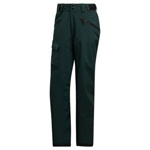 ADIDAS TERREX Sportovní kalhoty světle šedá / zelená / černá