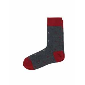 Scalpers Ponožky  šedá / mátová / tmavě červená