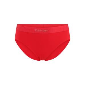 Calvin Klein Underwear Plus Kalhotky  červená / stříbrná