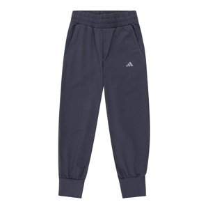 ADIDAS SPORTSWEAR Sportovní kalhoty  tmavě modrá / šedá