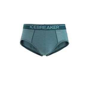 ICEBREAKER Sportovní spodní prádlo 'Anatomica' pastelově zelená / tmavě zelená