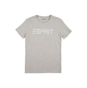 ESPRIT Tričko  světle šedá / bílá