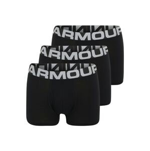 UNDER ARMOUR Sportovní spodní prádlo  světle šedá / černá / přírodní bílá