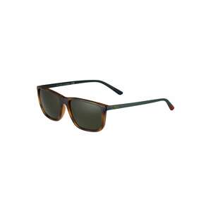Polo Ralph Lauren Sluneční brýle '0PH4171'  koňaková / tmavě hnědá / jedle