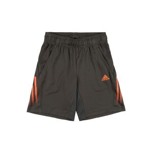 ADIDAS PERFORMANCE Sportovní kalhoty  tmavě šedá / oranžová