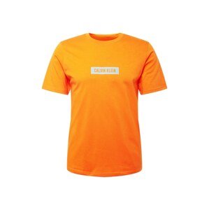 Calvin Klein Performance Funkční tričko  tmavě oranžová / pastelová modrá