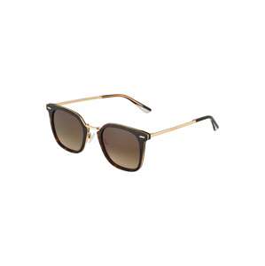 Calvin Klein Sluneční brýle '21702S'  hnědá / zlatá