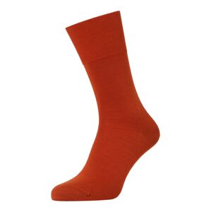 FALKE Ponožky 'Airport'  oranžově červená