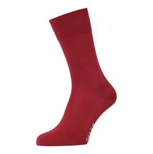 FALKE Ponožky 'Cool 24/7'  červená / světle šedá