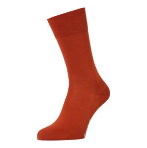 FALKE Ponožky 'Cool 24/7'  rezavě červená / světle šedá