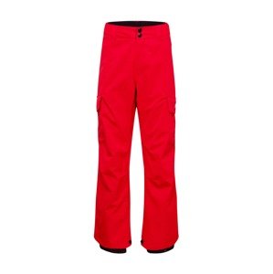 DC Shoes Outdoorové kalhoty 'BANSHEE'  červená